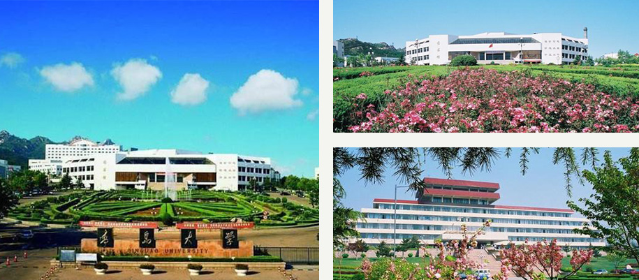 青岛大学干部培训中心,充分依托青岛大学教学资源,与当地政府密切合作,面向全国开展在干部培训,干部教育培训,红色教育培训,素质能力专项培训。