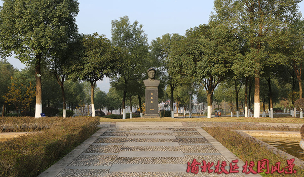 西政渝北校区校园风景