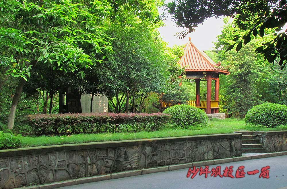 西政沙坪坝校区一角